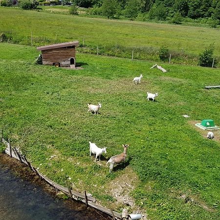 L Ancien Moulin A Grains Bed & Breakfast Valmont  Bagian luar foto